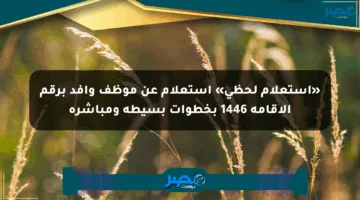 «استعلام لحظي» استعلام عن موظف وافد برقم الإقامة 1446 بخطوات بسيطة ومباشرة